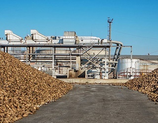 Потужності зі зберігання цукру Наркевицького заводу зростуть на 60 тис. тонн